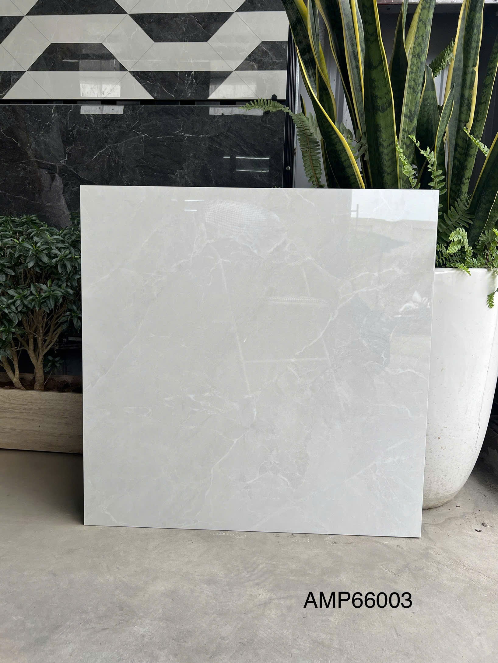 Gạch Ốp Lát KT 600x600 Men Bóng Mã AMP66003