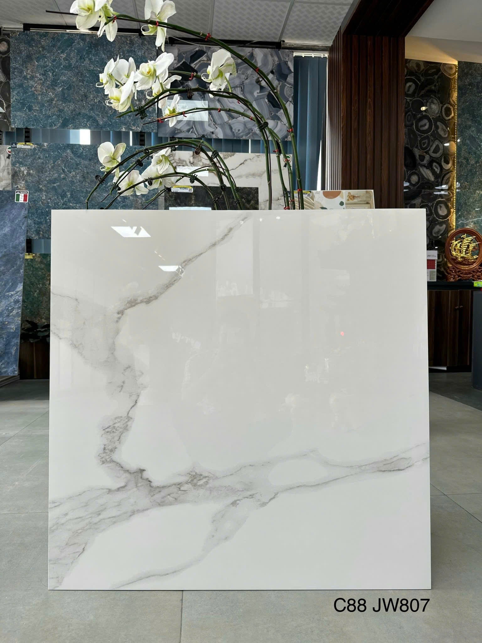 Gạch Ốp Lát KT 800x800 Men Bóng Mã C88 JW807