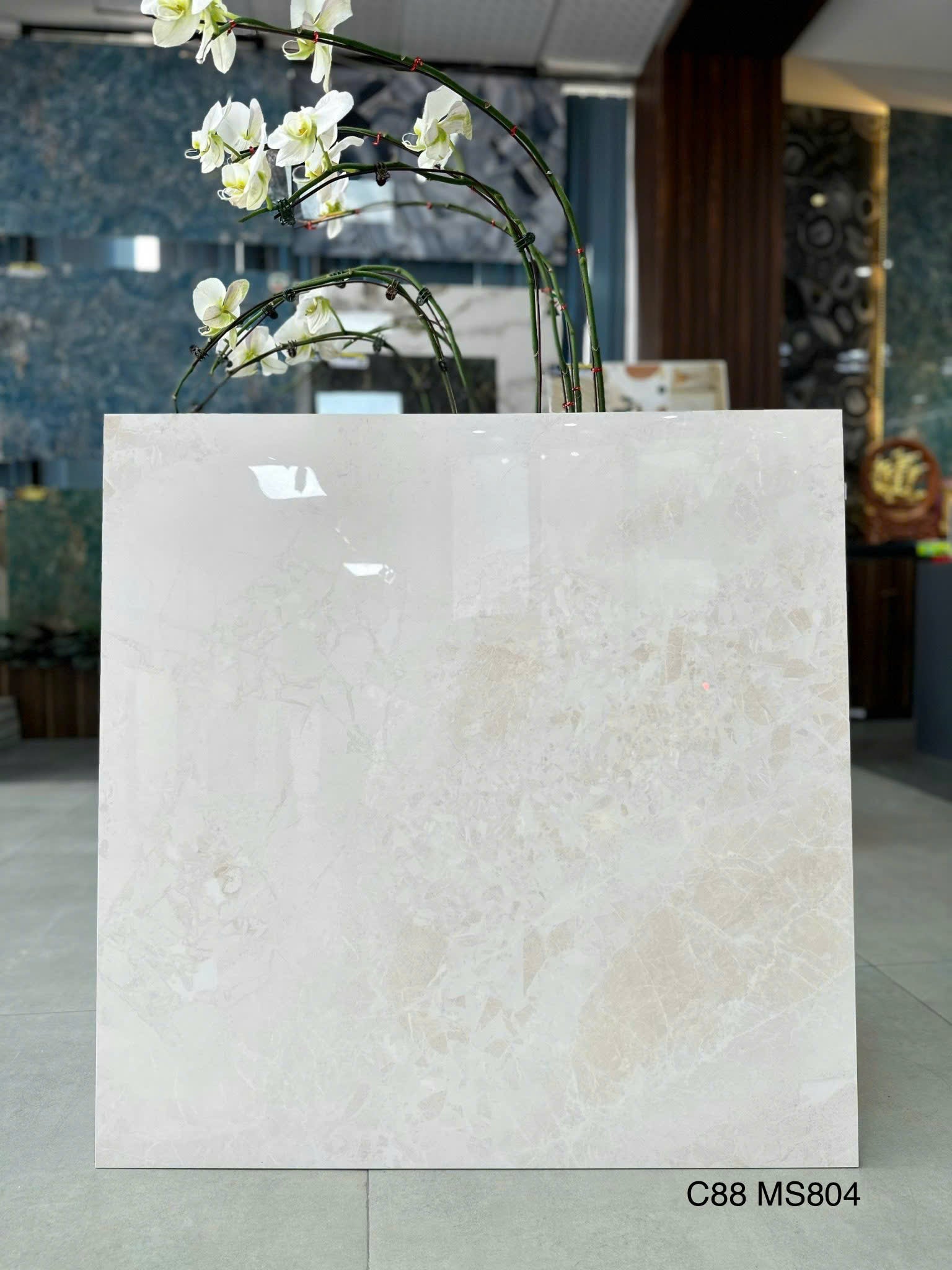 Gạch Ốp Lát KT 800x800 Men Bóng Mã C88 MSM04