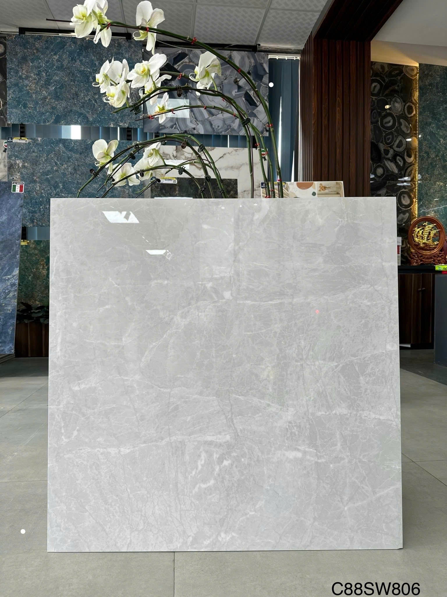Gạch Ốp Lát KT 800x800 Men Bóng Mã C88 SW806