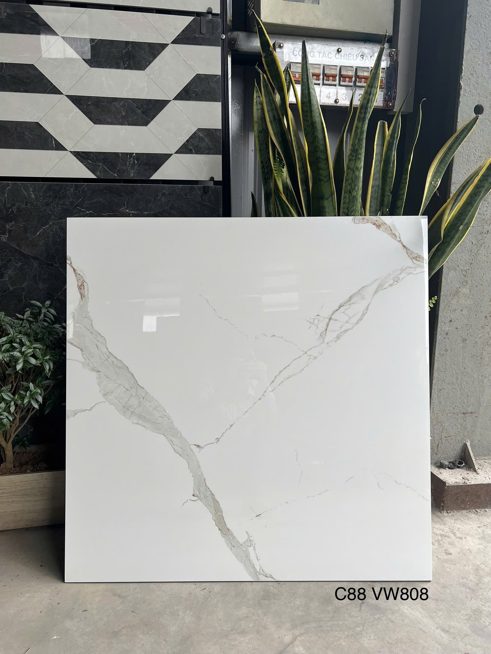 Gạch Ốp Lát KT 800x800 Men Bóng Mã C88 VW808