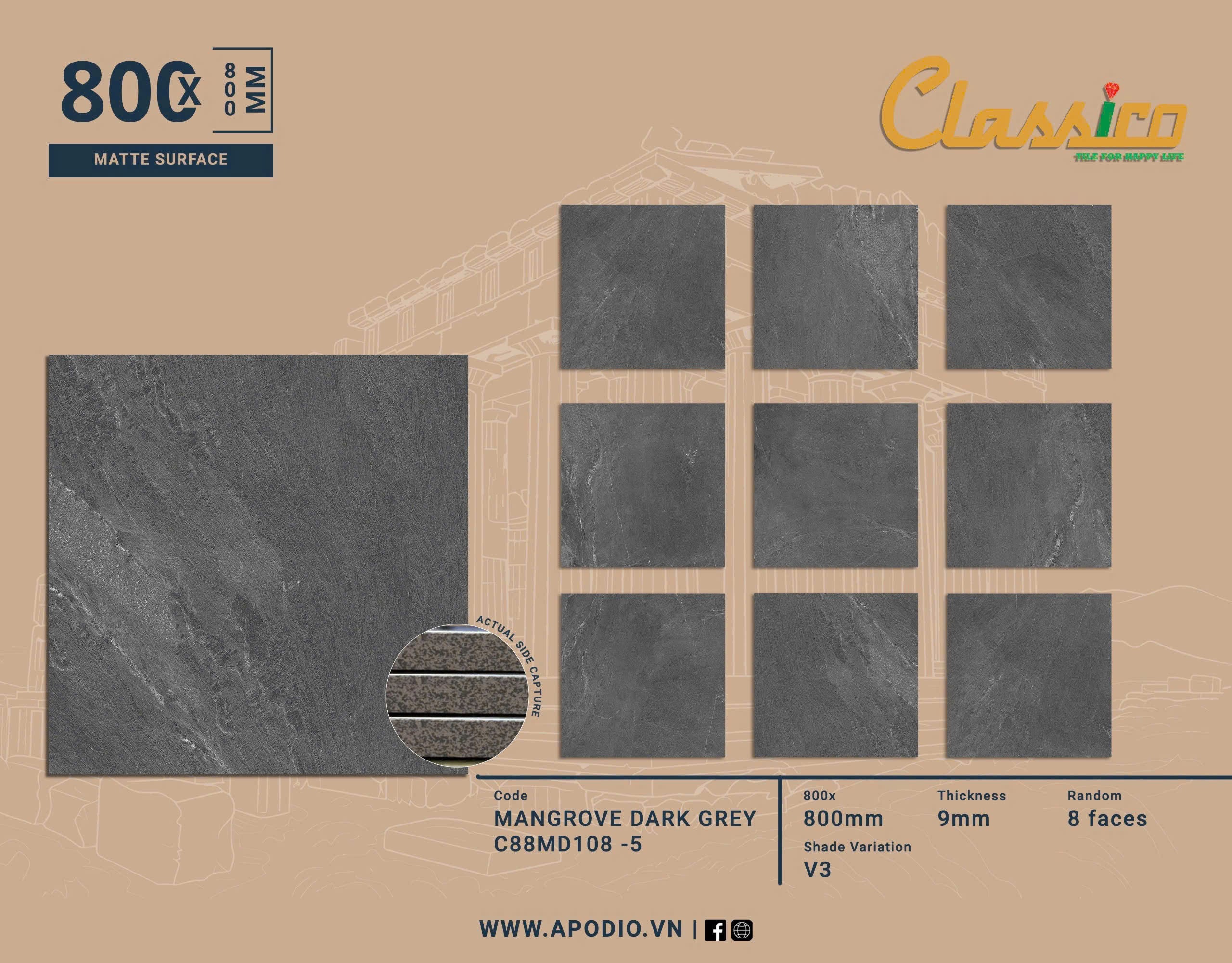Gạch Men Mờ KT 800x800 C88MD108-5
