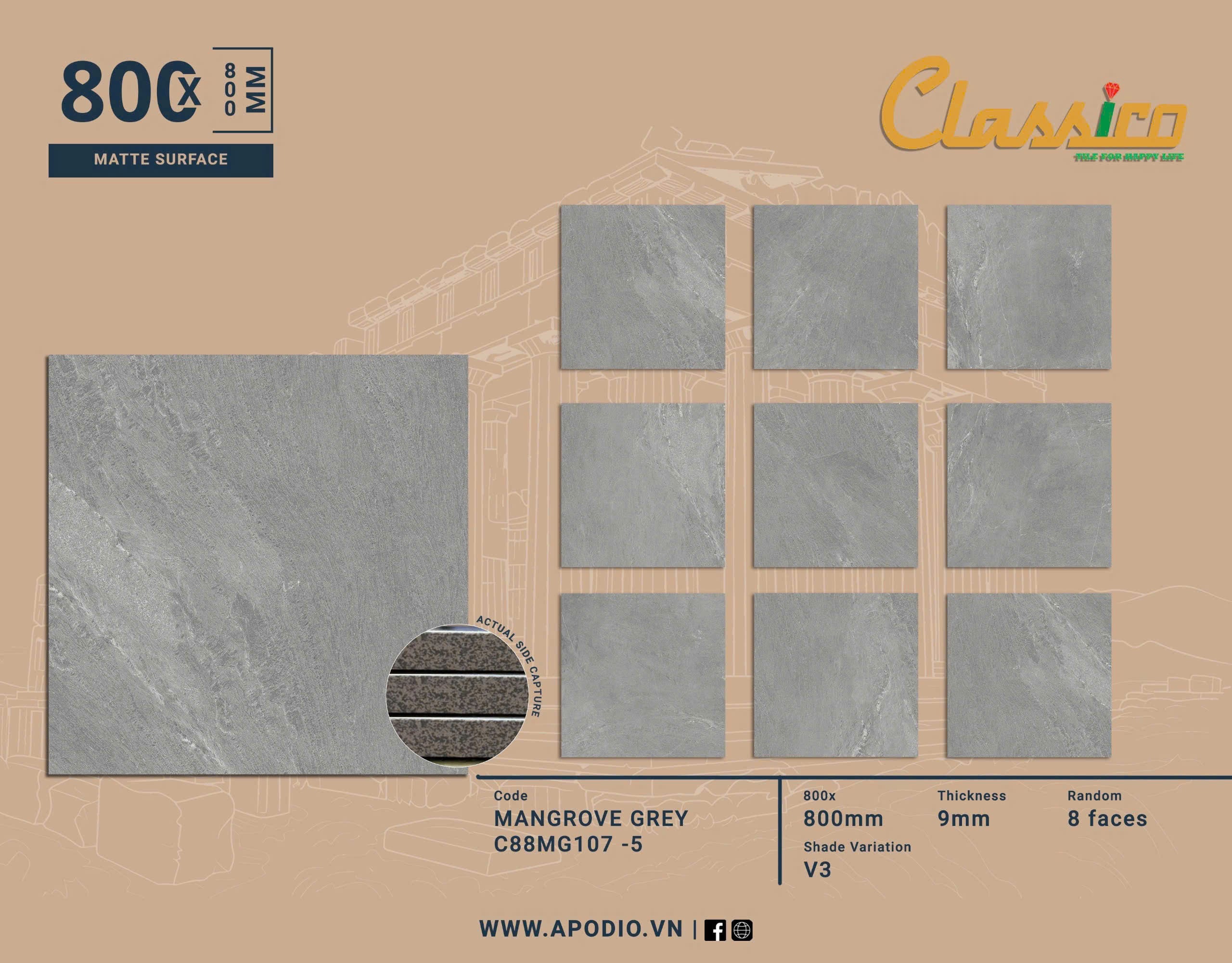Gạch Men Mờ KT 800x800 C88MG107-5