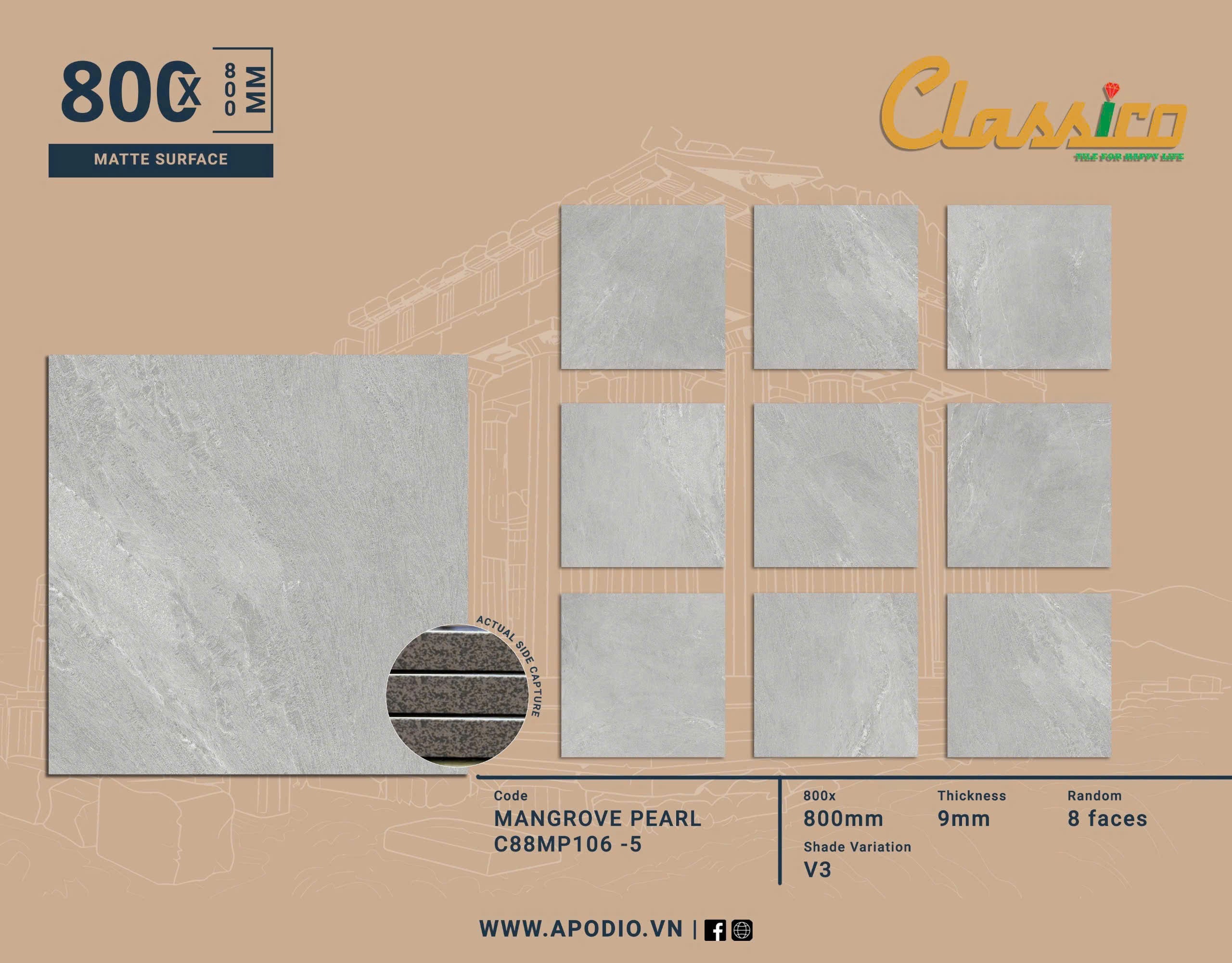 Gạch Men Mờ KT 800x800 C88MP106-5