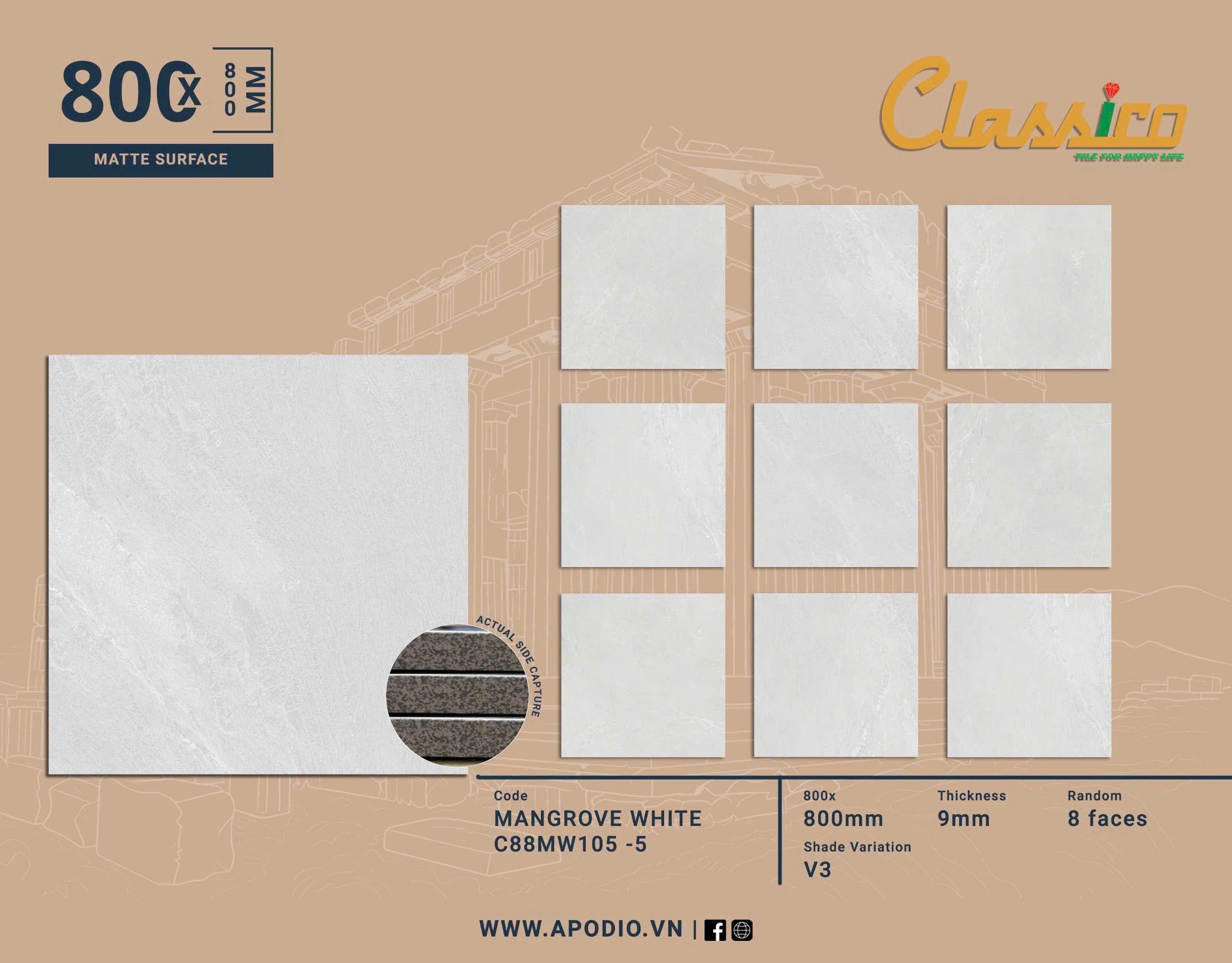 Gạch Men Mờ KT 800x800 C88MW105-5