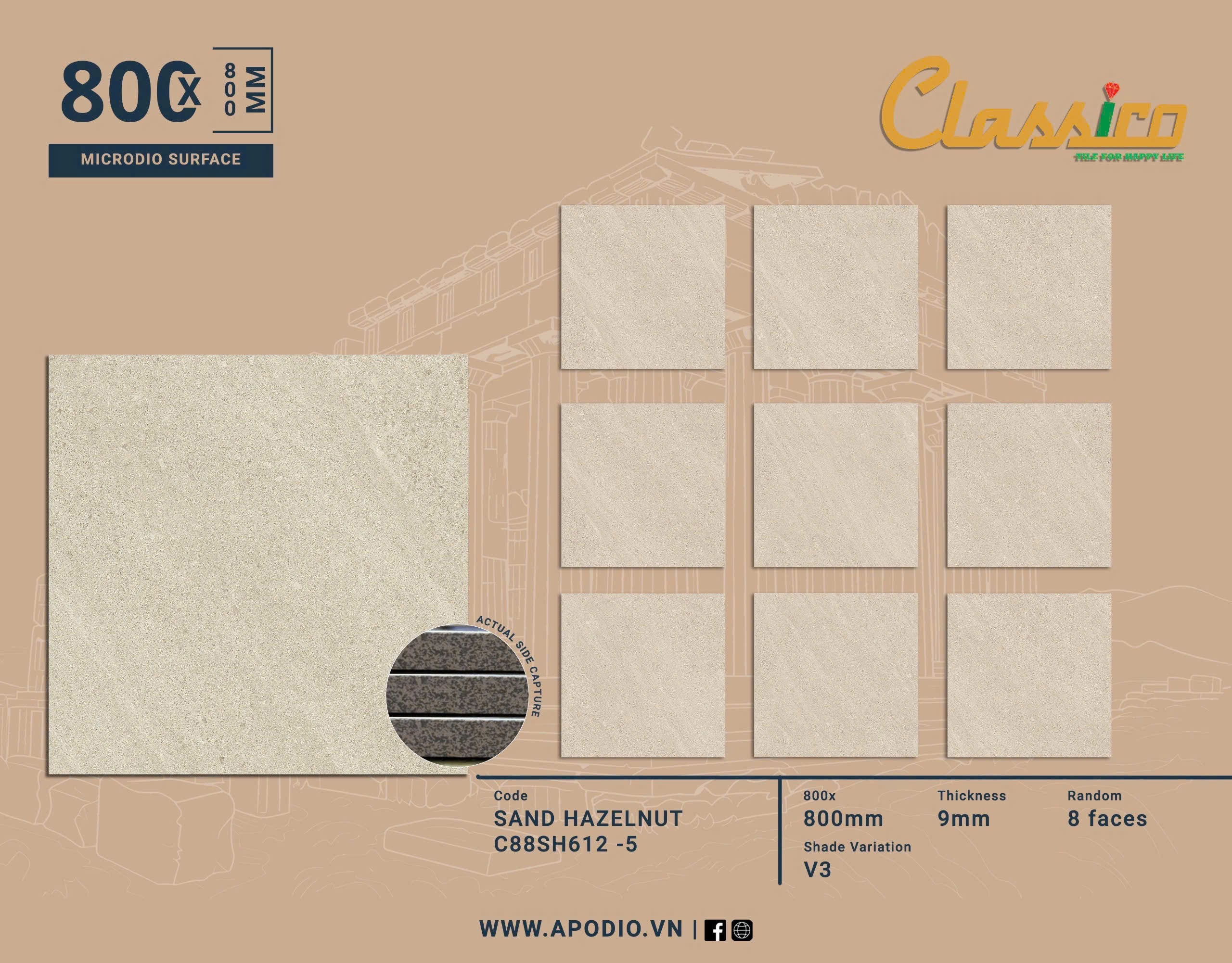Gạch Men Mờ KT 800x800 C88SH612-5