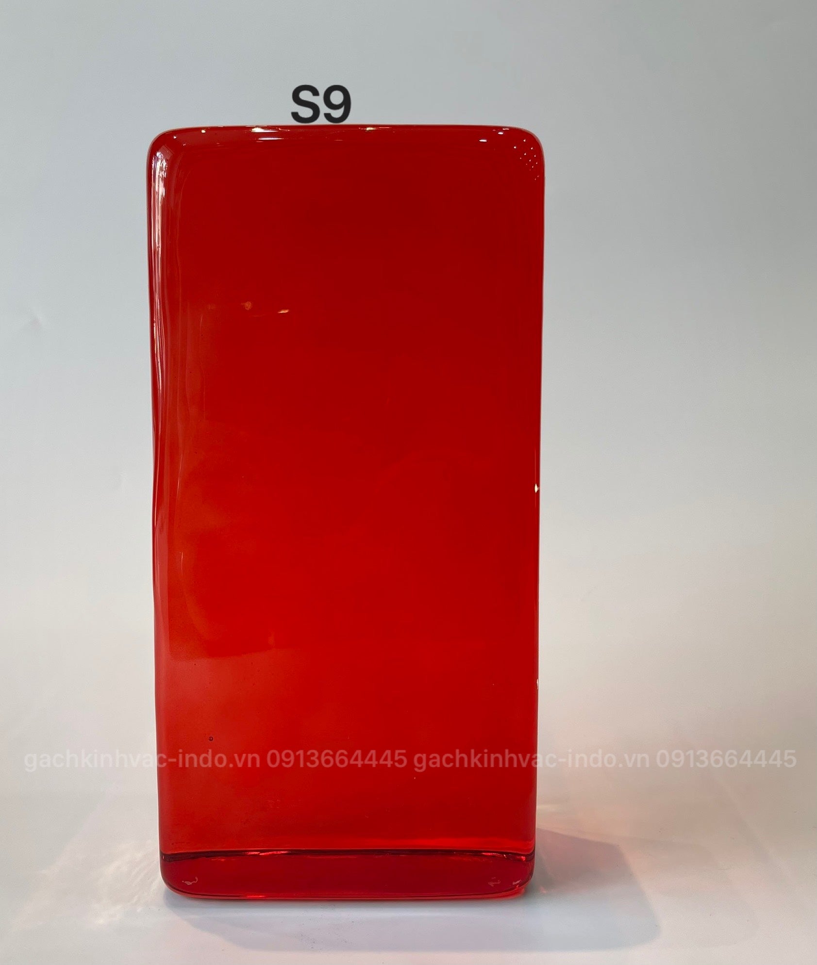 GẠCH KÍNH KHỐI ĐẶC S9