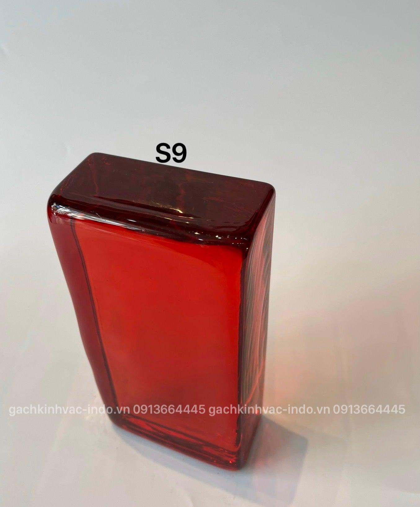GẠCH KÍNH KHỐI ĐẶC S9