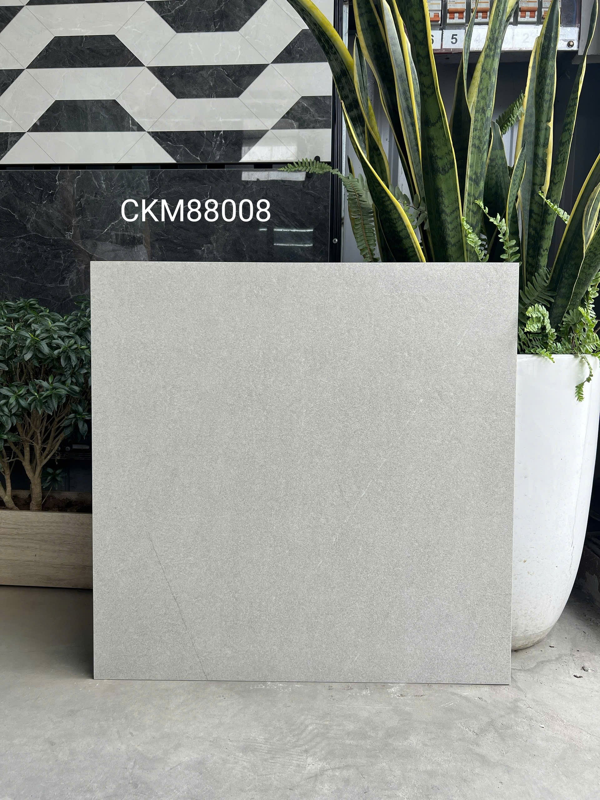 Gạch Men Mờ Cao Cấp 800x800 CKM88008 Sang Trọng