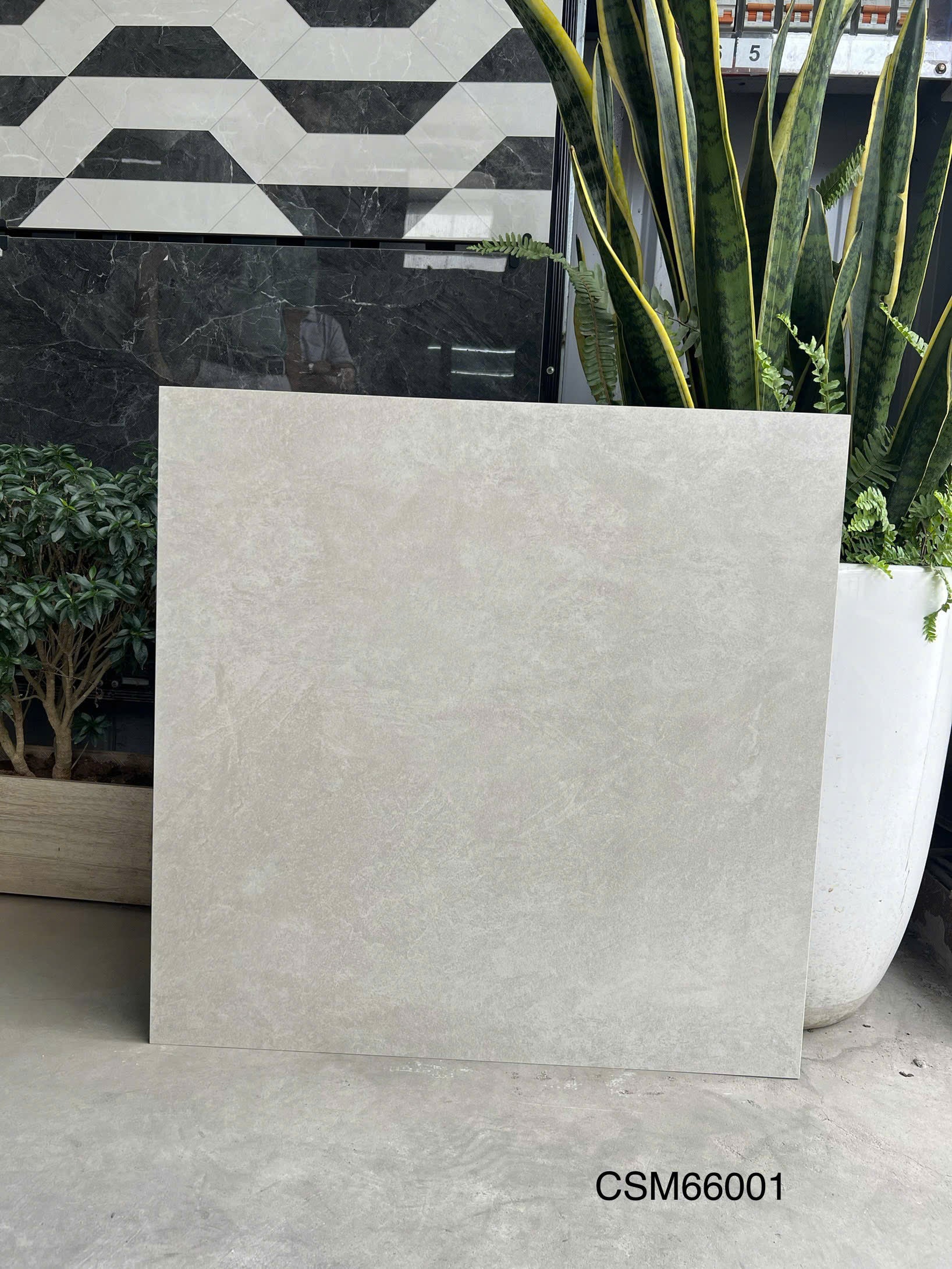 Gạch ốp lát KT 600x600mm CSM66001