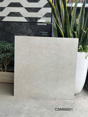 Gạch ốp lát KT 600x600mm CSM66001
