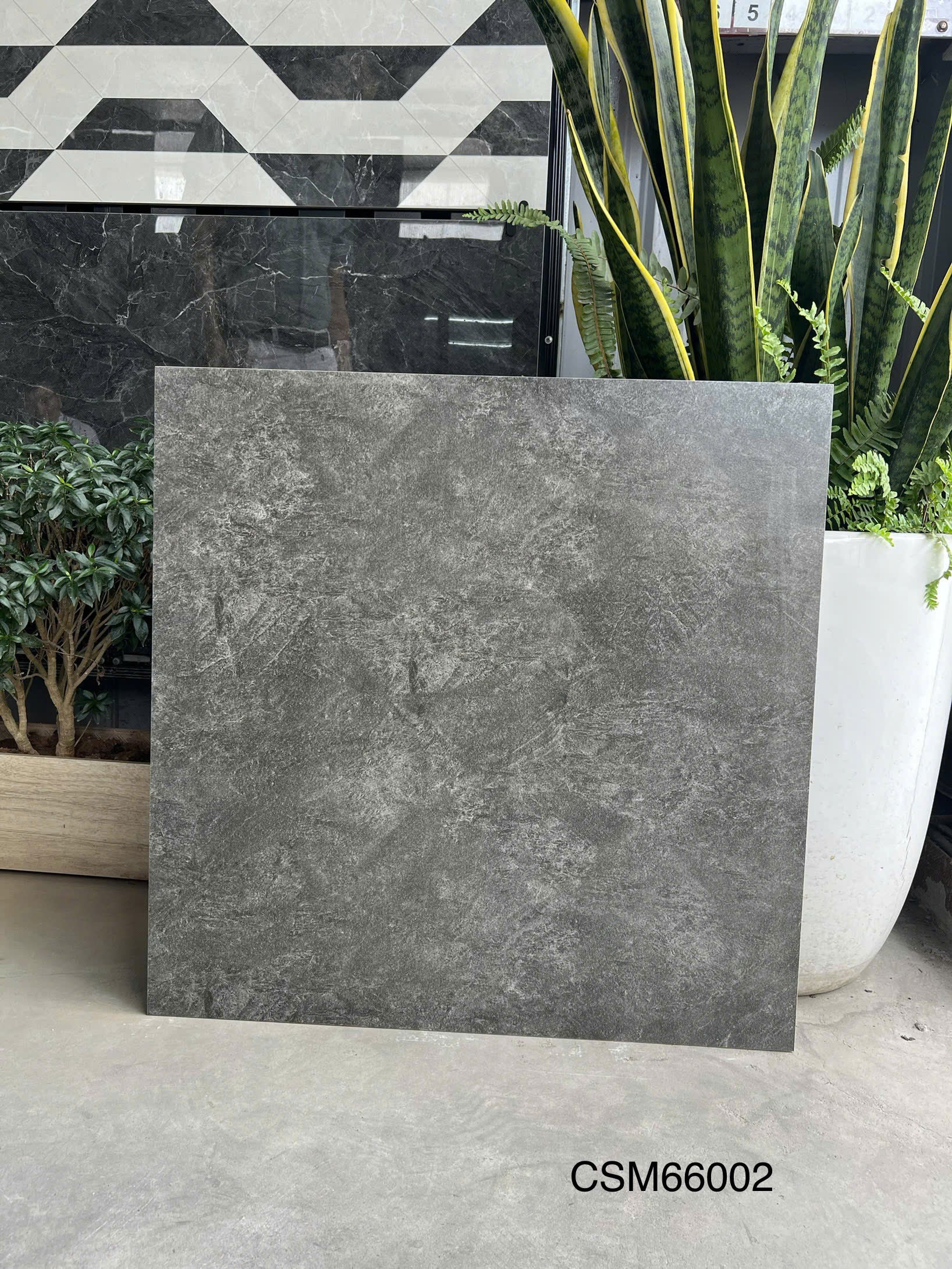 Gạch ốp lát KT 600x600mm CSM66002
