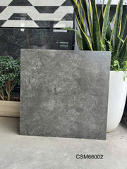 Gạch ốp lát KT 600x600mm CSM66002
