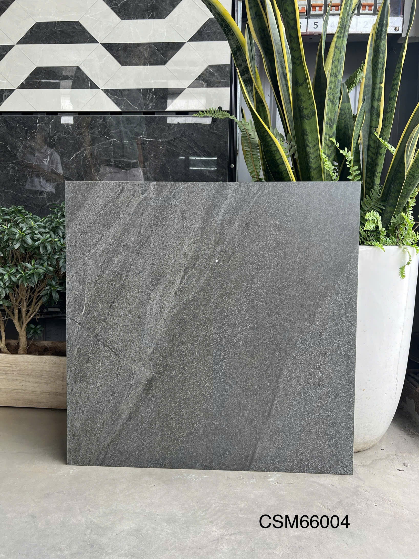 Gạch ốp lát KT 600x600mm CSM66004