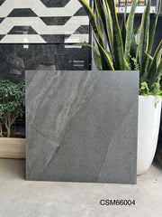 Gạch ốp lát KT 600x600mm CSM66004