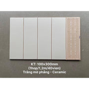 Gạch thẻ trắng mờ phẳng KT 100x300mm STA1306
