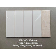 Gạch thẻ trắng bóng phẳng KT 100x300mm STA1300