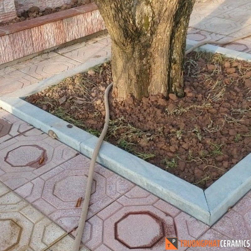 Đá bó bồn cây xanh rêu