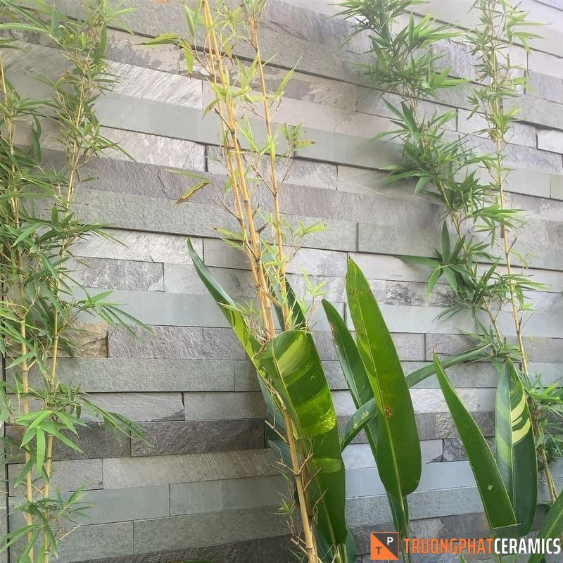 Đá ốp tường saslate