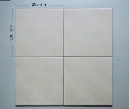 Gạch porcelain KT 200x200 mã F2013