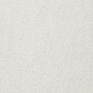 Gạch lát nền taicera 30×30 g38925nd
