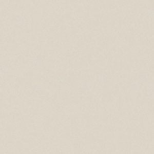 Gạch lát nền taicera 40×40 g49034