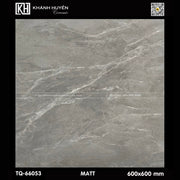 Gạch ốp lát 600×600 TQ-66053