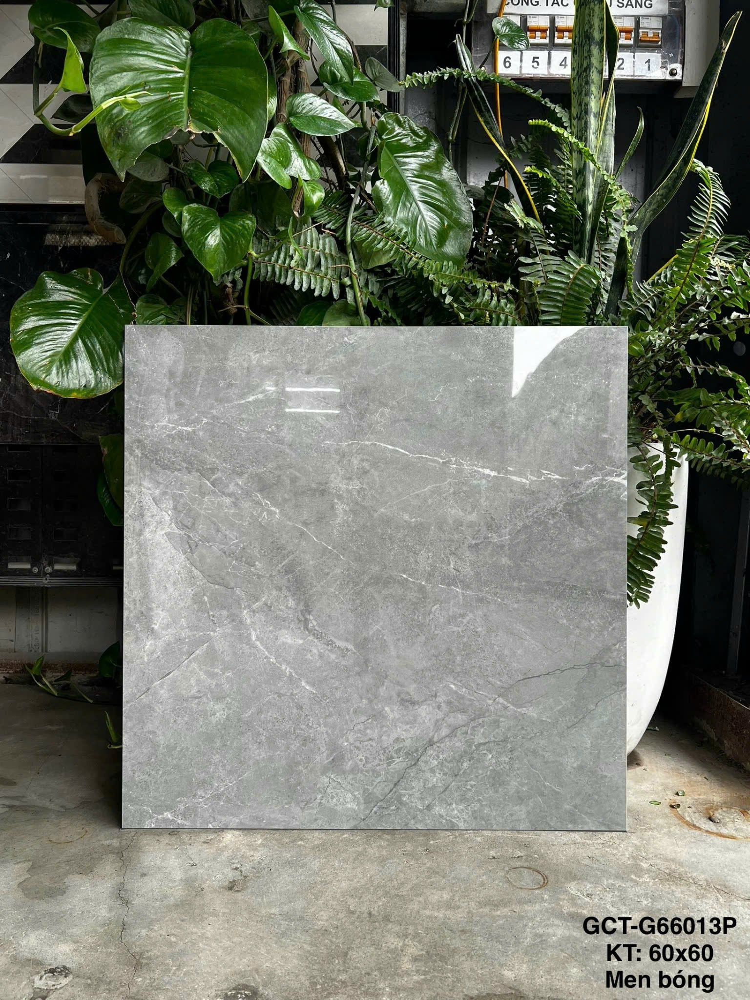 Gạch Ốp Lát KT 600x600 Men Bóng Mã GCT-G66013P