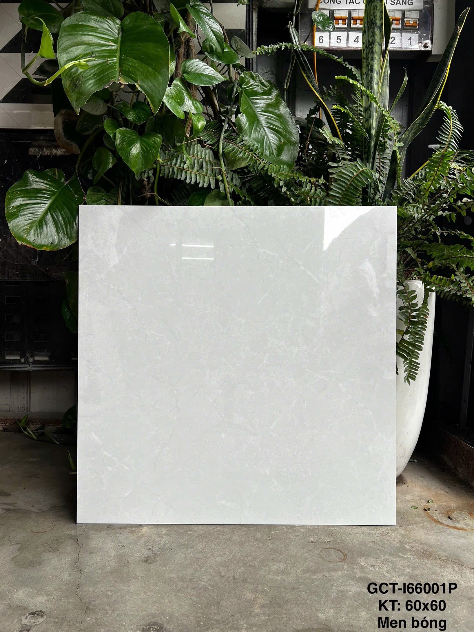 Gạch Ốp Lát KT 600x600 Men Bóng Mã GCT-I66001P