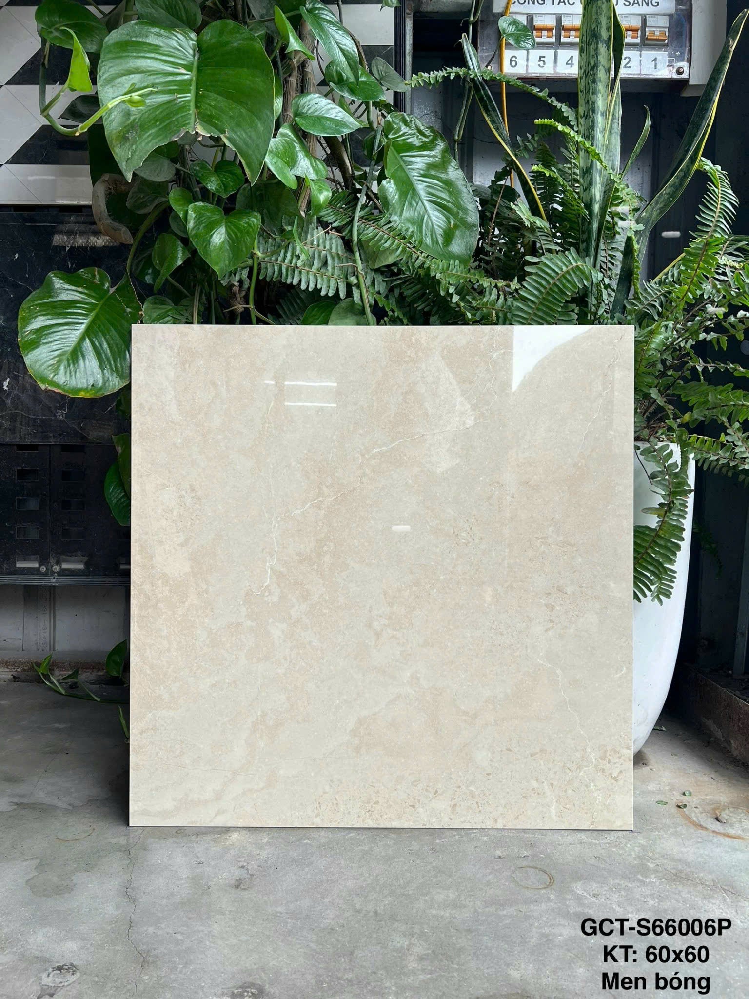 Gạch Ốp Lát KT 600x600 Men Bóng Mã GCT-S66006P