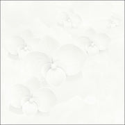 Gạch ốp lát Eleven 60×60 vân mây E6020