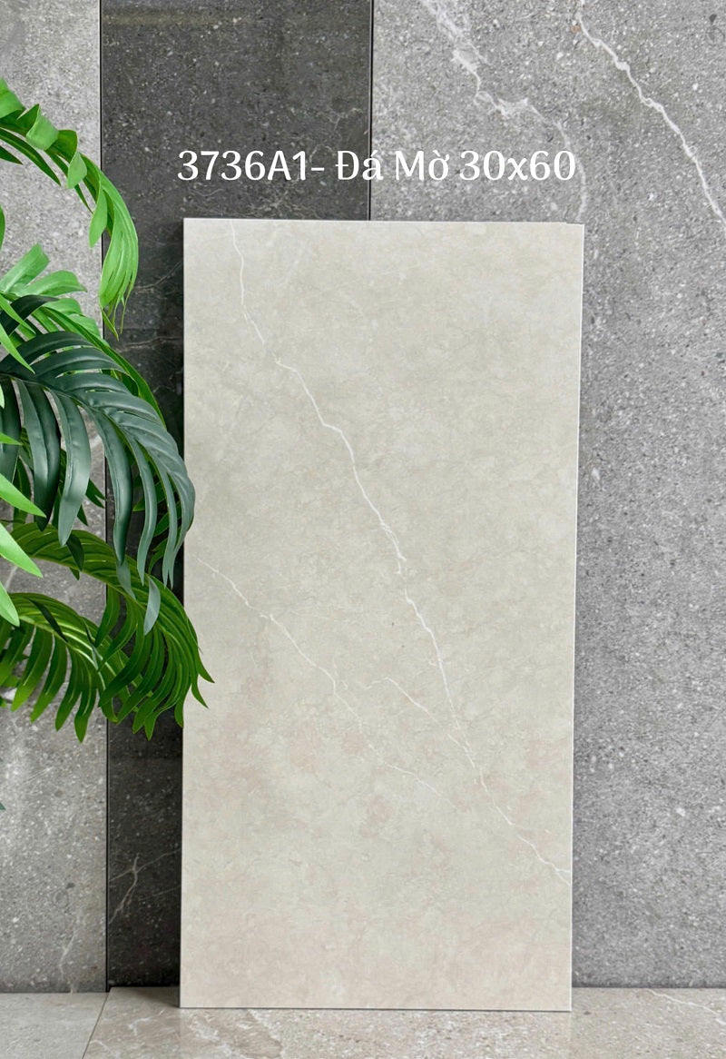 Gạch Ốp Lát Trung Quốc 30x60cm màu vân xi măng 3736A1