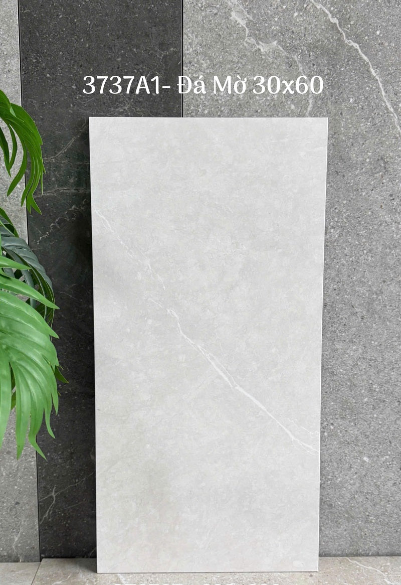 Gạch Ốp Lát Trung Quốc 30x60cm màu vân xi măng 3737A1