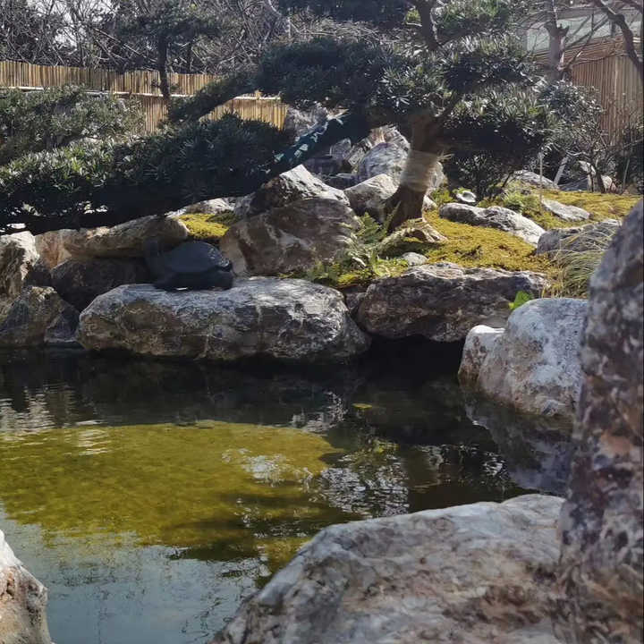 Đá sa thạch Boulder nhẹ làm cảnh quan, đá trang trí sân vườn – Daisan Store