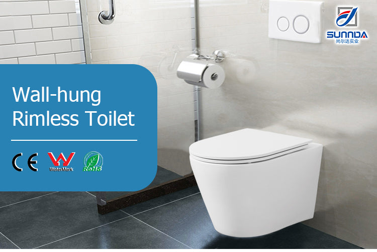 Giá Tốt Nhất Bồn Cầu Gốm Sứ Treo Tường Két Nước Âm Thiết Kế Phương Tây Mới Nhất