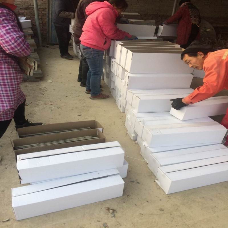 Tấm Gạch Ốp Tường Đá Quartzite Xanh Phong Cách Châu Âu Ngoại Thất Đá Tự Nhiên Kháng Axit Chống Xói Mòn Bền Bỉ Thân Thiện Môi Trường