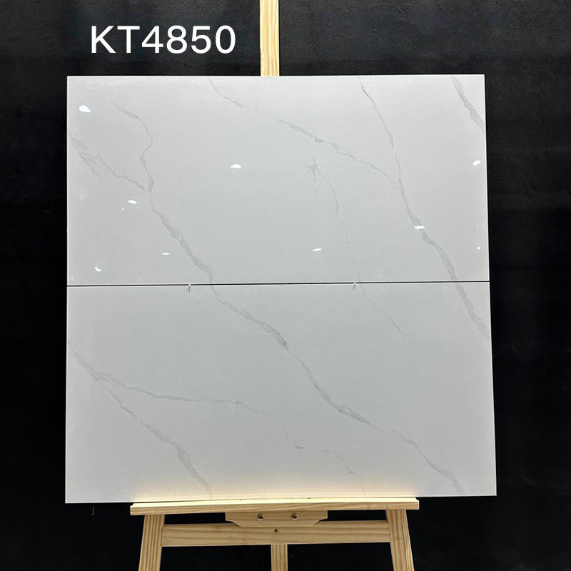 Tay Nắm Cửa Từ Tính Cho Không Gian Hiện Đại