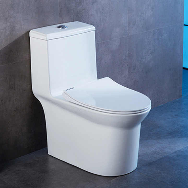 Bồn cầu khách sạn liền khối bằng sứ Siphonic S-trap 300mm – Daisan Store