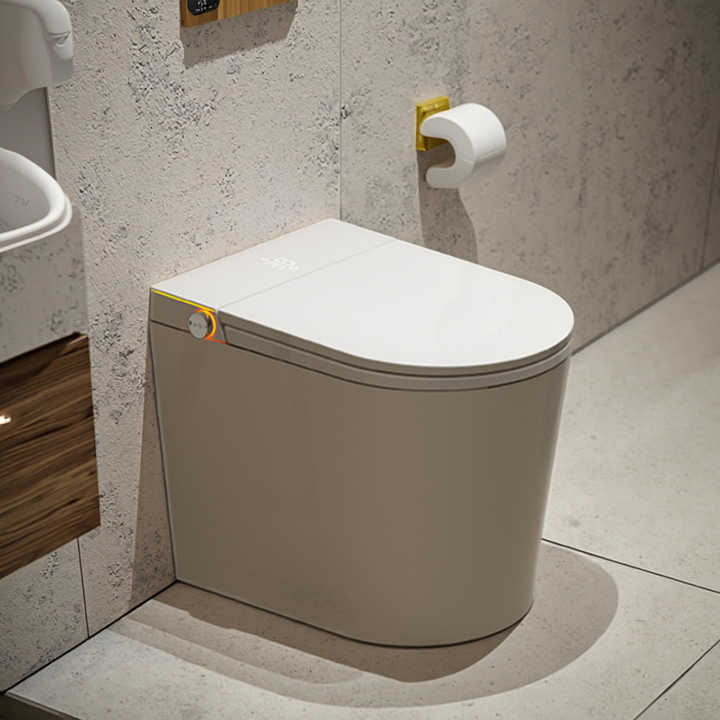 Bồn cầu sứ một khối không vành, ngắn 520mm chất lượng cao, xả rửa được