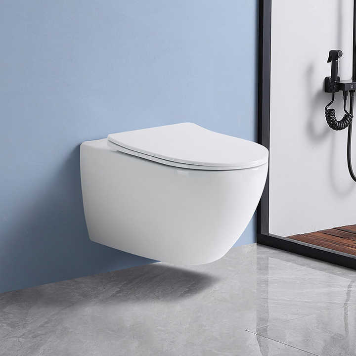 Bồn cầu sứ một khối hiện đại, bồn cầu đóng êm, bồn cầu gắn tường