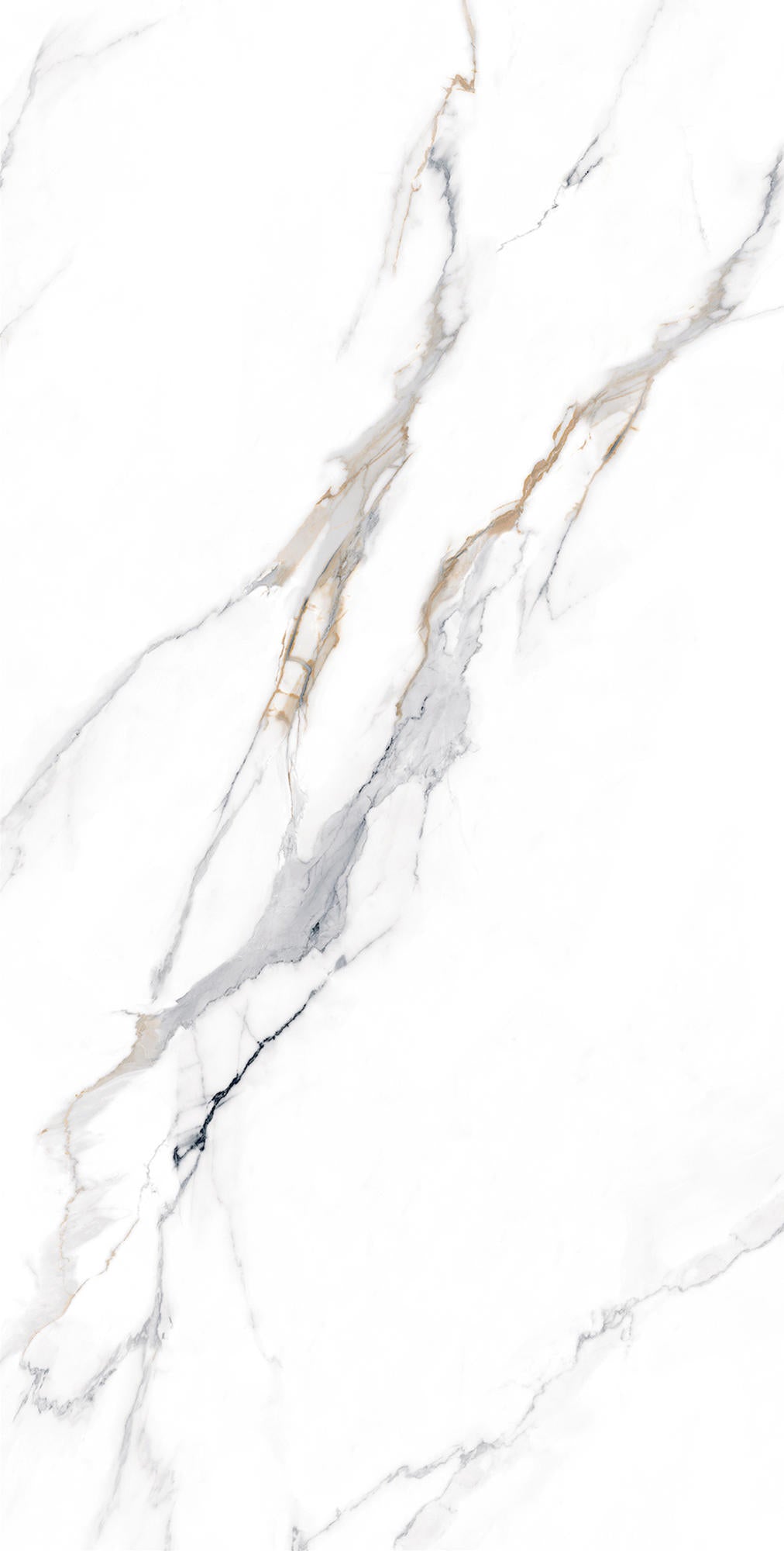 Sỉ từ nhà máy Gạch Porcelain Vinyl lát sàn và ốp tường chất lượng cao, bề mặt mờ, đồng chất, khổ lớn 600x1200mm cho phòng khách