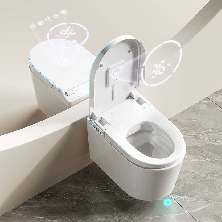 Chất lượng cao Khách sạn Closestool Gốm sứ Nhà vệ sinh Phòng tắm Thiết bị vệ sinh Bồn cầu một khối Toilette