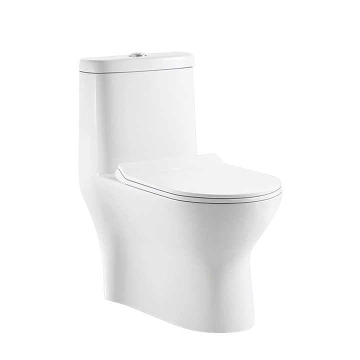 Bồn cầu tiết kiệm nước mới năm 2024, bồn cầu Siphonic S Trap 300 mm, t – Daisan Store