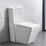 Thiết bị vệ sinh cao cấp phòng tắm bằng sứ cỡ lớn, bồn cầu một khối, bệ ngồi