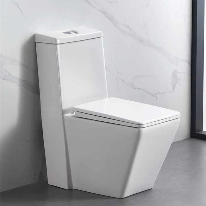 Thiết bị vệ sinh cao cấp phòng tắm bằng sứ cỡ lớn, bồn cầu một khối, bệ ngồi
