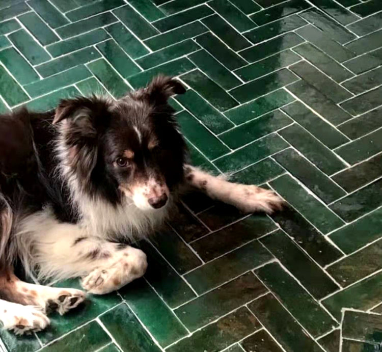 Gạch Mosaic Gốm Sứ Đa Màu Sắc Trung Quốc Trang Trí Tường Bếp