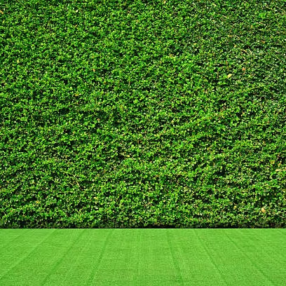 DBDMC Cỏ nhân tạo cảnh quan thân thiện môi trường, dùng cho bóng đá, golf