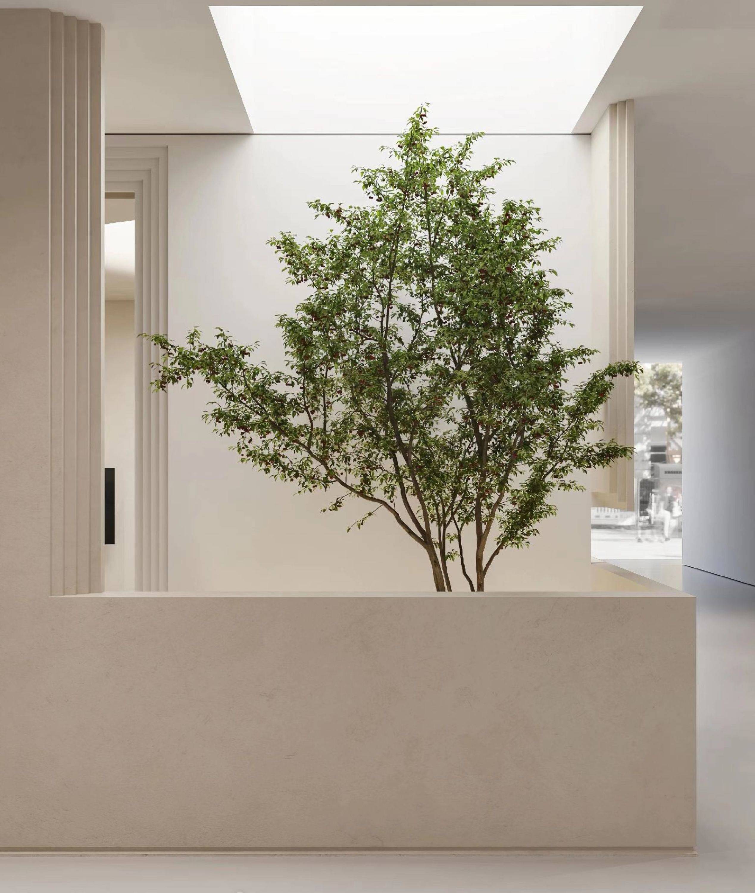 Gạch ốp tường và Đá lát sân vườn bằng Đá nung kết