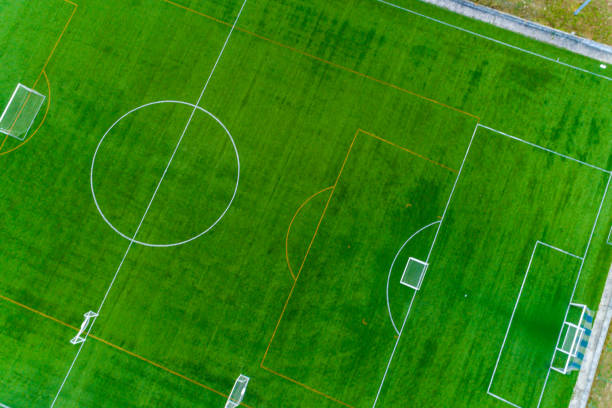 DBDMC Cỏ nhân tạo cảnh quan thân thiện môi trường, dùng cho bóng đá, golf