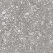 Gạch Terrazzo IC6602